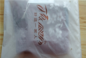 PE贴骨袋010 服装袋 拉链袋 塑料包装袋 订做批发